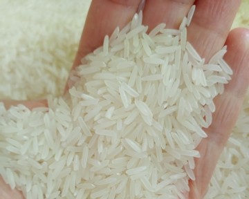 Giá gạo xuất khẩu của Việt Nam vẫn cao nhất thế giới