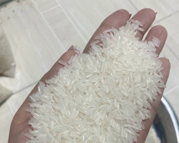 Giá gạo xuất khẩu tăng sau thông tin Indonesia mua thêm dự trữ