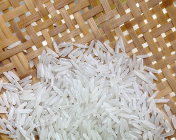 Giá lúa gạo hôm nay ngày 13/11: Giá lúa cắt cuối tháng có xu hướng tăng