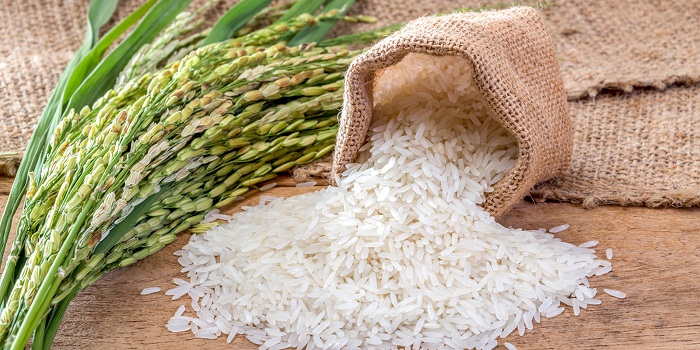 Gạo ngon được nhà máy tuyển chọn từ lúc trồng.