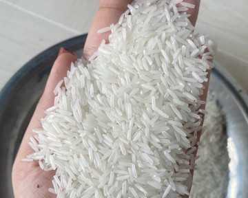 Đơn vị tổ chức tuyên bố gạo ST25 đoạt giải nhất gạo ngon nhất thế giới năm 2023