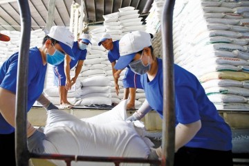 Viễn cảnh “xám màu” về giá gạo toàn cầu