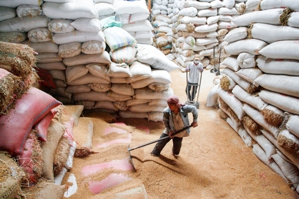 Nhà Máy Gạo Sạch Sông Hậu thu mua và lưu trữ số lượng lớn gạo sạch Campuachia để cung cấp cho thị trường