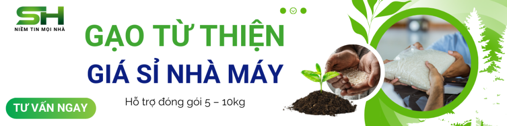 CUNG CAP GAO TU THIEN CHAT LUONG GIA SI TAN GOC NHA MAY