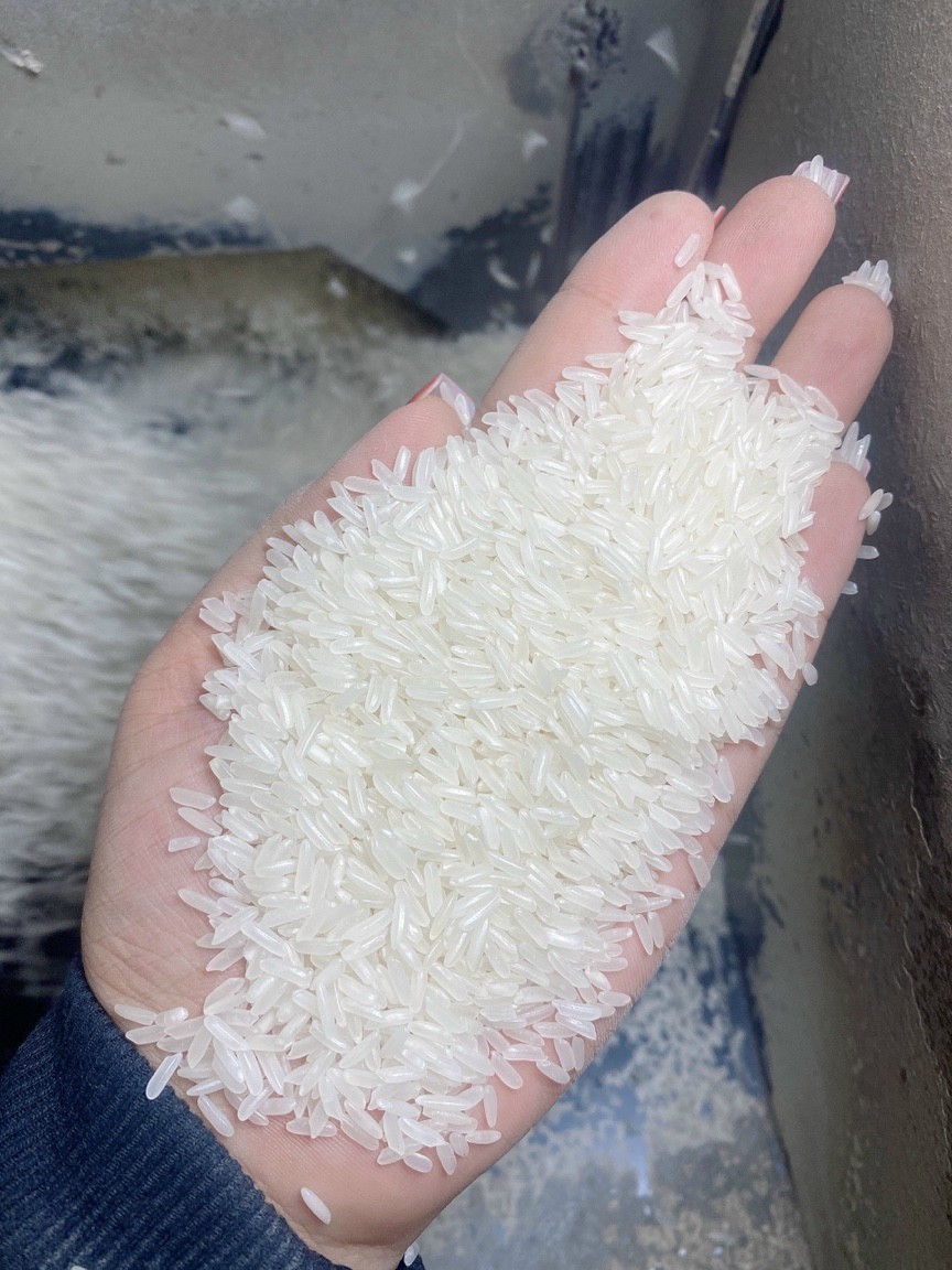 Gạo Nàng Thơm Chợ Đào