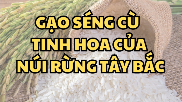 Gạo Séng Cù