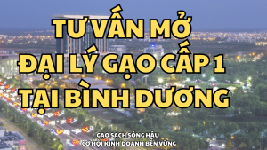 Tu Van Mo Dai Ly Gao Sach Song Hau – Co Hoi Kinh Doanh Ben Vung 1