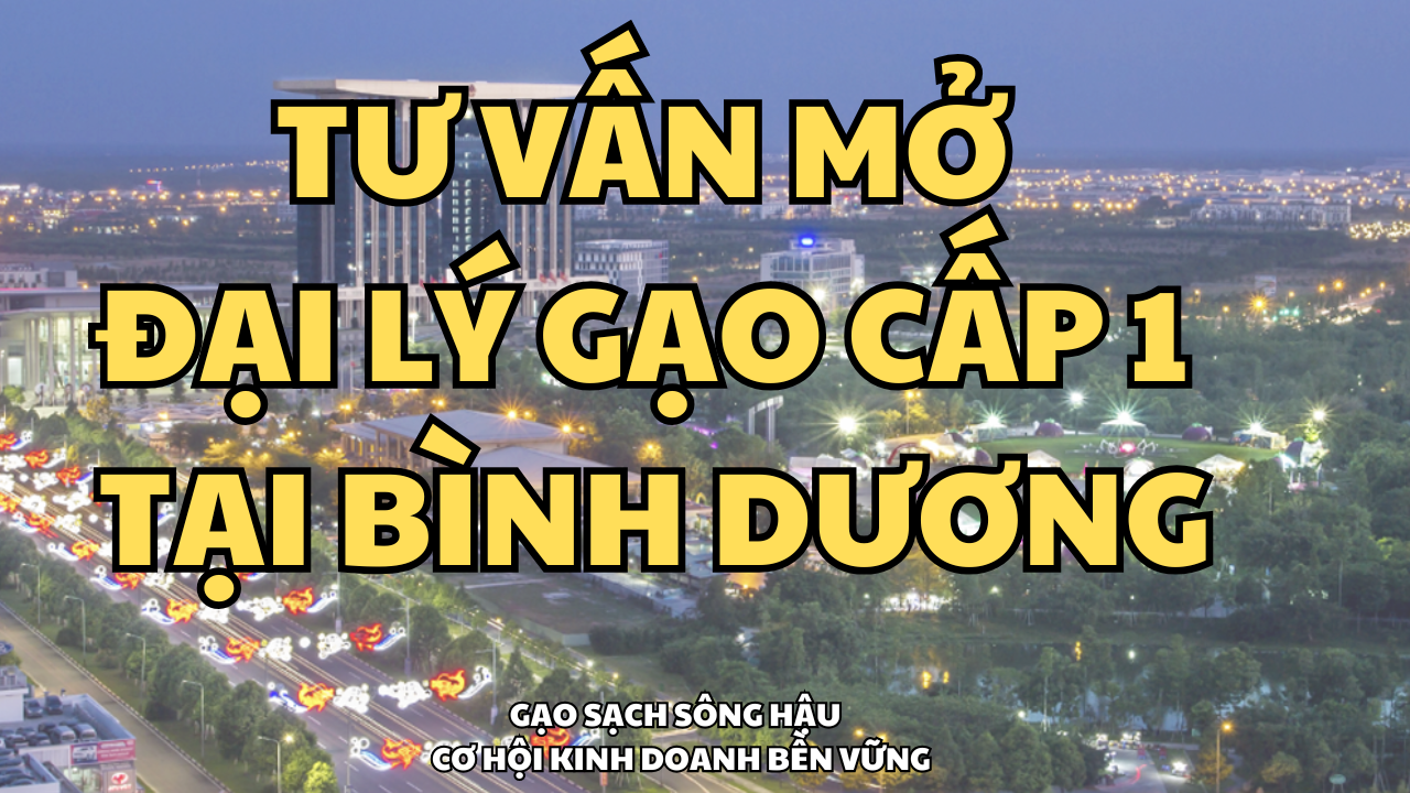 Tu Van Mo Dai Ly Gao Sach Song Hau – Co Hoi Kinh Doanh Ben Vung 1